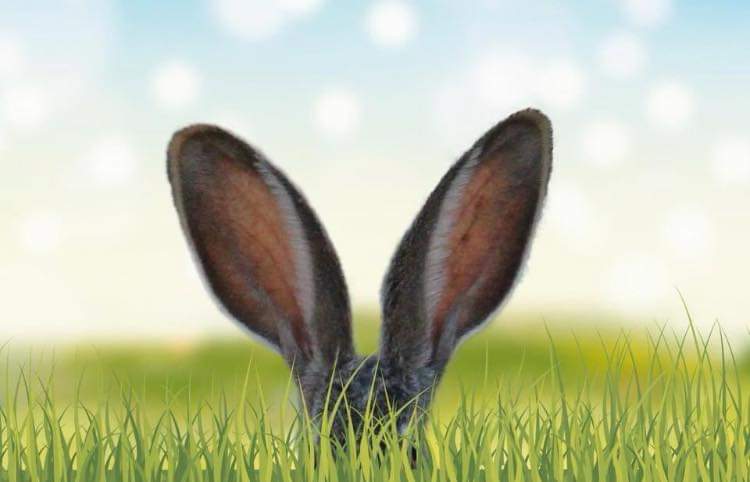 OSTERN kommt auch immer viel zu schnell